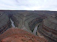 gooseneck (10).JPG